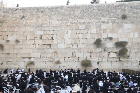 Rebbe of "Toldot Abraham Itzhak" praying on the Western Wall